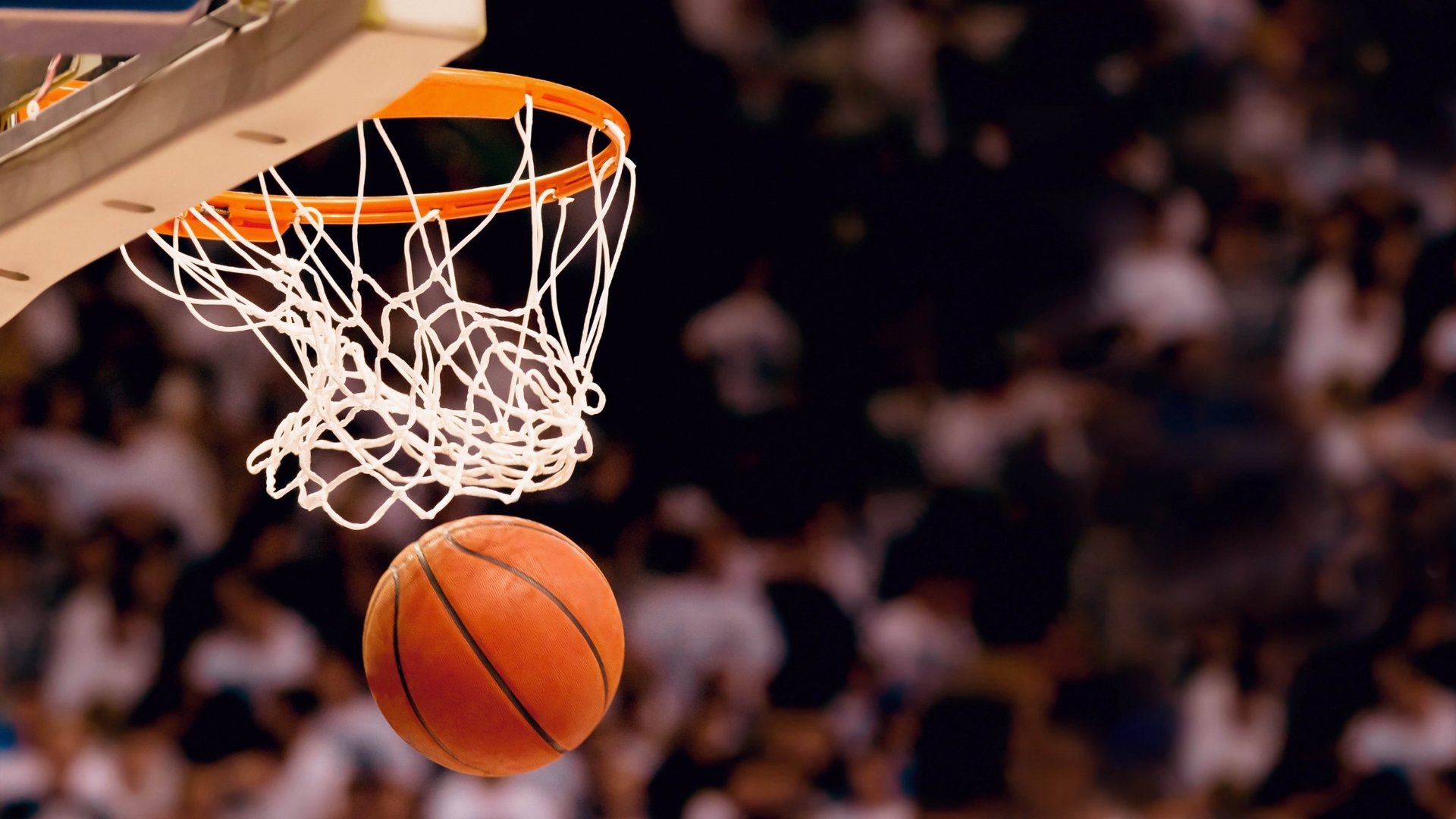 德约科维奇跨界NBA？网球天王或将掀起篮球场风暴|体育资讯
